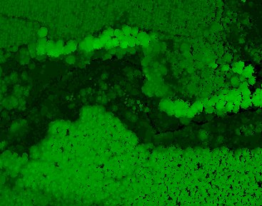Biomass and Fuel Loading with Fullwaveform LiDAR Biomass Fullwaveform